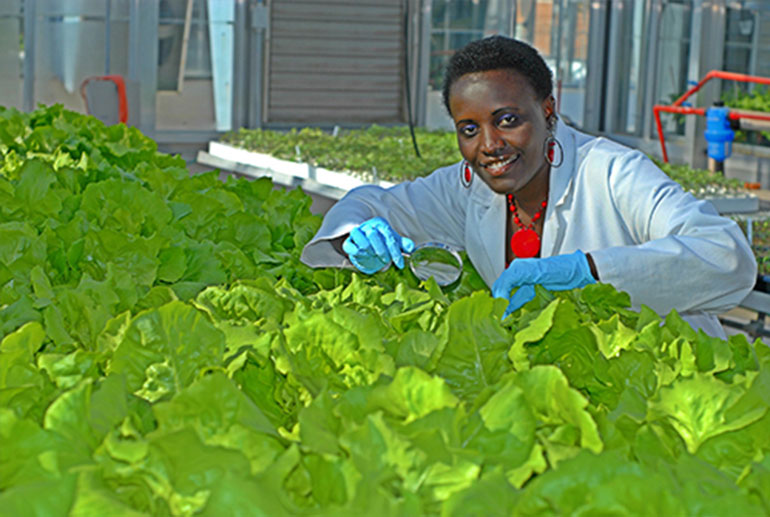 female scientist in greenhouse