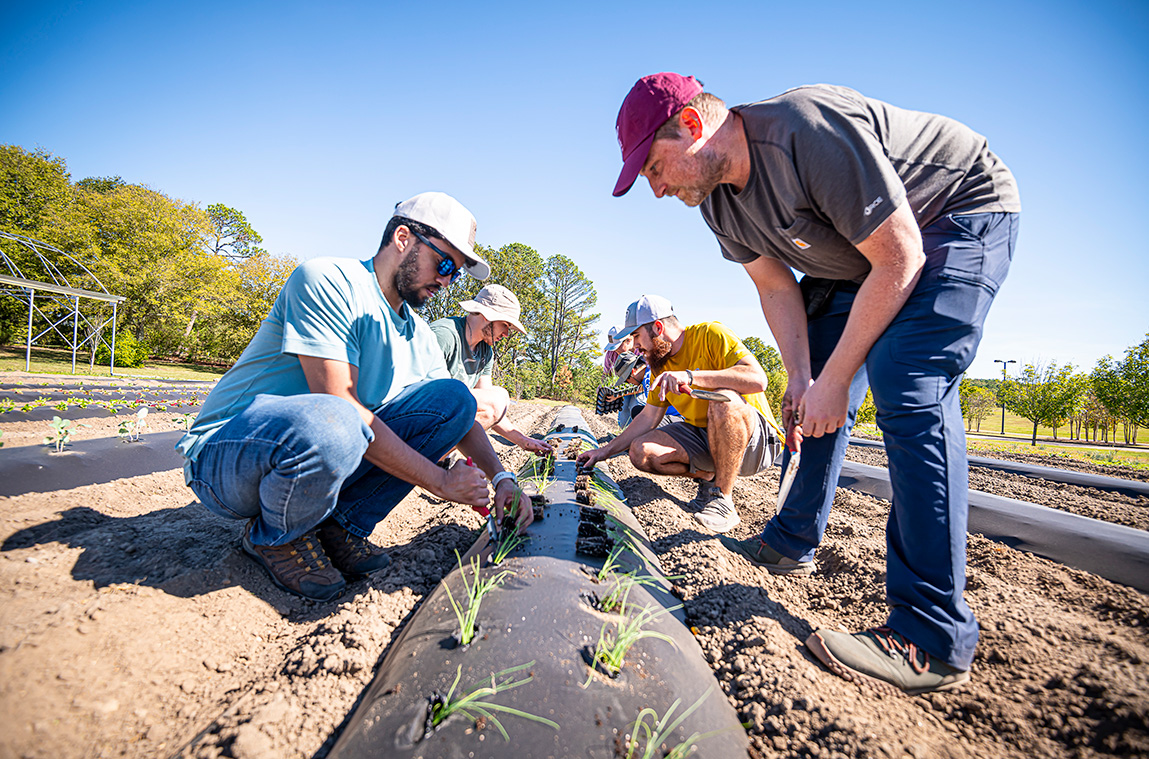 Students and faculty planting vegetables. 